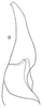 Stylus: !! display not done !! on Tropicanus DeLong, 1944: Stylus. (Observation).