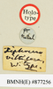 CollectionObject 1518484; b2ecc527-c812-4ab2-bc3e-a7af2c993cc4: female, labels (holotype). (CollectionObject).