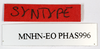 CollectionObject 1558996; 23547695-4904-470f-9954-8177fc9b0e11: copyright MNHN, Paris. female nymph labels (syntype). (CollectionObject).;CollectionObject 1558997; 7c170d9e-8691-41a3-8e1f-ccbe90aaa394: copyright MNHN, Paris. female nymph labels (syntype). (CollectionObject).