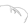 Pygofer, lateral view: Pygofer, lateral view. (Observation).