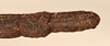 CollectionObject 1559394; OUM 570, 71cc763d-1ec3-4655-ab3c-93de77fc595c: copyright OUMNH. female: end of thorax, ventral view of Lonchodes amaurops (lectotype). (CollectionObject).