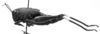 CollectionObject 1501160; 014955bc-6c94-4eeb-8b02-ebaf5b188781: Image Carbonell, C.S. female, lateral view (syntype). (CollectionObject).