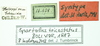 CollectionObject 1532591; dacc0729-6ff4-49ff-b72f-b183181c0f86: labels (holotype). (CollectionObject).