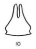 Subgenital plate: !! display not done !! on Smilia camelus (Fabricius, 1803): (Observation).