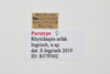 CollectionObject 1587975; 9d038297-2bb6-4274-8613-7ba7d049990b: labels (paratype). (CollectionObject).
