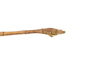 CollectionObject 1584035; 3db17dc4-f512-45e5-b382-28d1df4b301e: Copyright O. Conle Coll. male: end of abdomen, dorsal view (paratype). (CollectionObject).;CollectionObject 1584036; 8fbabe4f-898d-4026-b008-2c50f2a71c38: Copyright O. Conle Coll. male: end of abdomen, dorsal view (paratype). (CollectionObject).;CollectionObject 1584037; 00c53815-64f7-46f6-ba44-de18474c7d55: Copyright O. Conle Coll. male: end of abdomen, dorsal view (paratype). (CollectionObject).