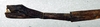 CollectionObject 1561719; bc9630b6-11a7-4464-8b5d-afcb9dab50d9: copyright NMW, Vienna. female: end of abdomen, lateral view of synonym Cuniculina insueta (holotype). (CollectionObject).