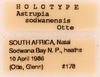 CollectionObject 1522844; a8de98c3-526b-4d44-8200-48c3a3778147: Male, labels (holotype). (CollectionObject).