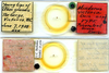 CollectionObject 2067838; 077de290-141d-4817-a0c5-07711082a392, EMEC 25656: (CollectionObject).