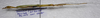 CollectionObject 1584602; a599e076-8f88-4cff-bde3-722cd6a7c50b: (CollectionObject).