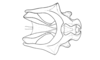 Dichroplus democraticus (Blanchard, 1851): Fig. 10. cingulum and endophallus, dorsal view. (Otu).