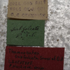 CollectionObject 1505766; 3f70dc0e-d3e2-4e79-804d-f0f1e91fa04c: labels (syntype). (CollectionObject).
