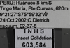 Other on Caldwelliola tharma (Young, 1977): Labels - yellow. Labels for the yellow color variation specimen. (Observation).