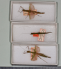 CollectionObject 1559846; abb1d81c-bde9-4d41-9cf0-f80d4edba0ee: copyright USNM. male and female Marmessoidea phluctainoides (syntypes). (CollectionObject).;CollectionObject 1559847; e611e944-2d48-40fc-b5bd-7cd65ae6fc57: copyright USNM. male and female Marmessoidea phluctainoides (syntypes). (CollectionObject).