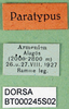 CollectionObject 1502678; a449a33d-a956-4272-bde8-e7153bd442d0, DORSA BT000245S02: labels (syntype). (CollectionObject).