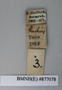 CollectionObject 1573269; f25dffa6-7f59-425e-86ab-84990786ef53: Copyright NHM, London. Male: data labels, non-type. (CollectionObject).