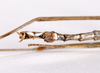 CollectionObject 1559867; 323192c9-1ac1-4610-96c0-b6da2e49e699: copyright ZMHB, Berlin. male: end of abdomen, ventral view (holotype). (CollectionObject).