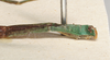 CollectionObject 1557508; 213d8a09-9f6c-4269-9e96-470aa795a70a: copyright Natural History Museum, London. male, abdomen (holotype). (CollectionObject).