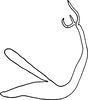 Aedeagus, lateral view on Edwardsiana pseudocommissuralis Christian, 1953: Aedeagus, lateral view. (Observation).