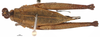 CollectionObject 1499145; 46504515-cc2f-42ce-85c3-b03fd29c5385: female, dorsal view (holotype). (CollectionObject).