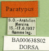 CollectionObject 1576329; 6bfbe78b-a321-469d-832b-2b09ff311642: labels (paratype). (CollectionObject).
