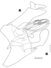 Pygofer, lateral view on Asotocixius diopter Kramer, 1983: (Observation).