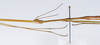 CollectionObject 1562557; f496cd6b-238b-4f22-b9dc-444c3cb2a288: copyright ZMUH, Hamburg. male: head & thorax, lateral view of synonym Clitumnus trilineatus (paralectotype). (CollectionObject).