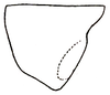 Orchelimum (Metarhoptrum) fraternum Rehn & Hebard, 1915: Pl. II, Fig. 16 (after type). male pronotum, lateral outline. (Otu).