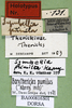 CollectionObject 1500952; 398a1753-448e-4d3f-9024-ad9d09f691c3: labels (holotype). (CollectionObject).