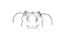 Morphopus phyllocerus (Bolívar, 1887): Pl. 1, Fig. 7. male fastigium, dorsal view. (Otu).
