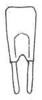 Calamoptera imhoffiana (Saussure, 1861): Fig. 35. male subgenital plate (length 4.5 mm, styli 2.2 mm). (Otu).