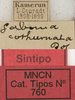 CollectionObject 1535169; 59e0b5fd-ff36-417c-933b-e2a408758763: labels (syntype). (CollectionObject).