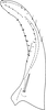 Subgenital plate, ventral view on Edwardsiana plebeja (Edwards, 1914): Subgenital plate. (Observation).