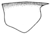 Anaulacomera (Anaulacomera) gibbera Hebard, 1927: Pl. XIX, Fig. 10 (after type). male pronotum, lateral view (length 4.3 mm). (Otu).