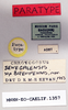 CollectionObject 1572736; a22c34d4-1ab4-49e3-be1c-e18c2c374562: male, labels (paratype). (CollectionObject).