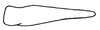 Subgenital plate, ventral view on Rugosella obrienorum (Freytag & DeLong, 1971): Male: subgenital plate, ventral view. (Observation).