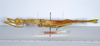 CollectionObject 1558334; 3dffb3fa-b8d8-4ef0-bd2b-8b9e1a206d72: copyright ANSP. female, lateral view (holotype). (CollectionObject).