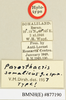 CollectionObject 1518366; cc765265-520e-4932-9988-9f68135f51cd: labels (holotype). (CollectionObject).