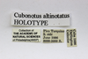 CollectionObject 1523461; 41974836-27c8-4496-a55f-0bb2362d6ead: labels (holotype). (CollectionObject).