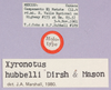 CollectionObject 1499386; 7f037e62-420d-4d4f-9b92-013a45551c27: labels (holotype). (CollectionObject).