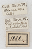 CollectionObject 1564223; NMW 1858, a1a008aa-2cdb-4294-ae77-4bc35d93f9dc: labels. (CollectionObject).