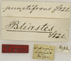 CollectionObject 1529704; a80cf5c5-1e65-4c2c-abac-e02e568bcdb7: labels (holotype). (CollectionObject).