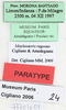 CollectionObject 1514651; 622a1555-3ced-4f93-b0de-0eded33cd7ed: labels (paratype). (CollectionObject).