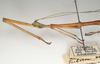 CollectionObject 1562495; b383efdc-10f3-429b-aa82-6f075d7d282c: St. Petersburg. male, head & thorax (syntype of Carausius immundus). (CollectionObject).