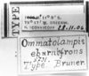 CollectionObject 1521358; f92db402-1d2b-4a4b-b022-62282064ea67: Image, Carbonell, C.S. at the British Museum, 1970. labels (holotype). (CollectionObject).