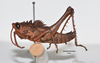 CollectionObject 1533403; ea3527b8-da07-4ba7-b454-0e82ec912718, USNM 12084: male, lateral view (syntype). (CollectionObject).