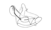 Crites prestoni Rehn, 1942: Fig. 157. cingulum and endophallus, lateral view. (Otu).