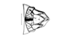 Tropidostethus angusticollis (Blanchard, 1851): Fig. 168. male abdomen tip, dorsal view. (Otu).