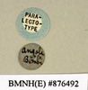 Apotrogia angolensis Kirby, 1900: Copyright Natural History Museum, London. Labels from paralectotype (female nymph) in BM(NH). (Otu).