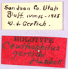 CollectionObject 1499225; 19c90bf6-326e-4181-803f-2140772df963: labels (holotype). (CollectionObject).